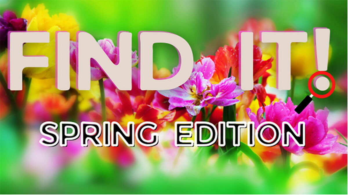 Find It! Spring Edition image number 0